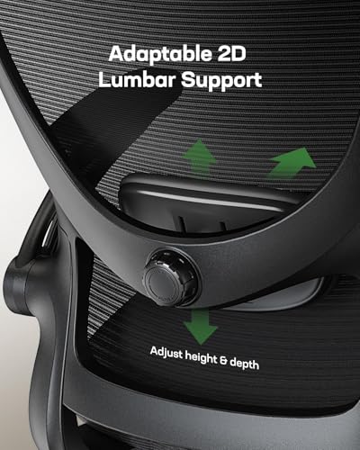 Marsail Ergonomic Office Chair with 3D Lumbar Support & Headrest T824