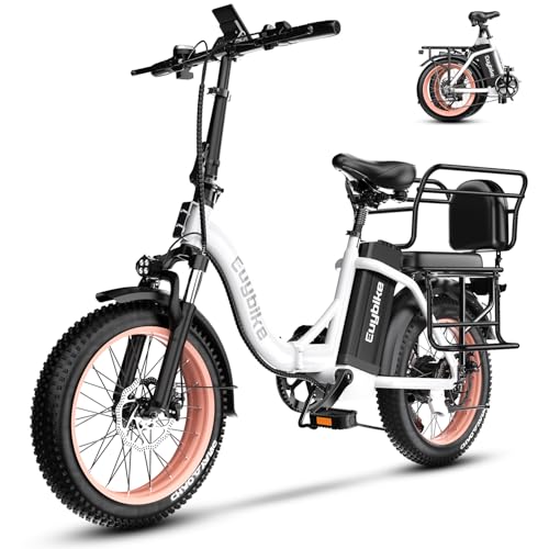 Folding Electric Bike 1000W 48V 20AH Removable Battery 20" Fat Tire for Adults C847123
