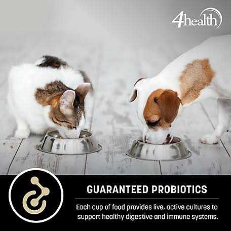 4health Adult Chicken and Rice Formula Dry Dog Food P36151