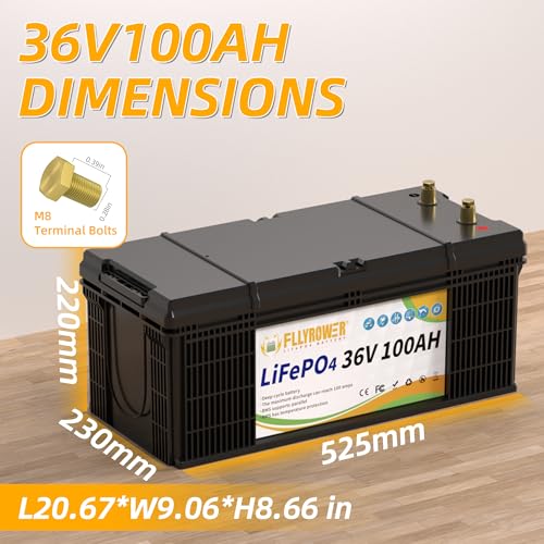 FLLYROWER 12V 100Ah LiFePO4 Battery with BMS for Marine RV Solar I833