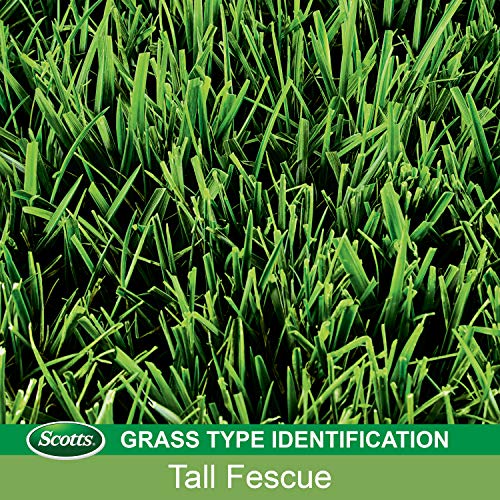 Scotts PatchMaster Lawn Repair Mix Tall Fescue, 4.75 lbs. K631651