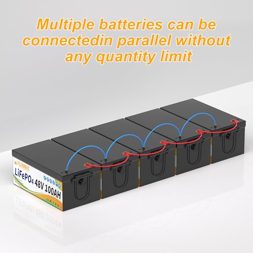 FLLYROWER 12V 100Ah LiFePO4 Battery with BMS for Marine RV Solar I833