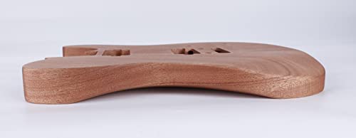 Leo Jaymz DIY Single Cut Electric Guitar Kit Mahogany Rosewood B148