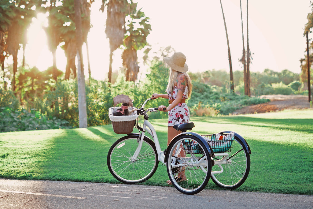 Kent 26 Alameda Folding Adult Trike, Blue P3671