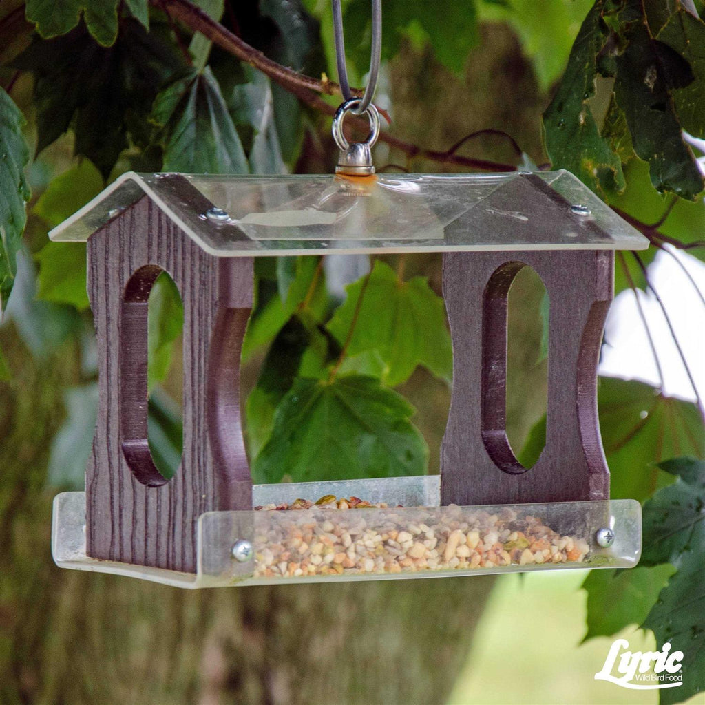 Lyric Fine Tunes Wild Bird Food K929165