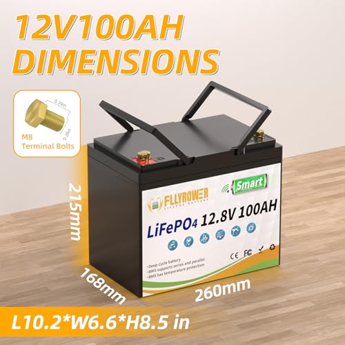 FLLYROWER 12V 100Ah LiFePO4 Battery with BMS for Marine RV Solar I833