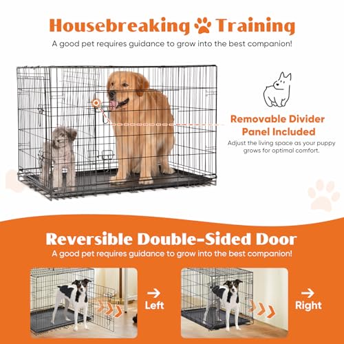 Sweetcrispy Large Dog Crate with Divider Panel, 36 Inch Double Door Folding Metal Wire Cage L276890