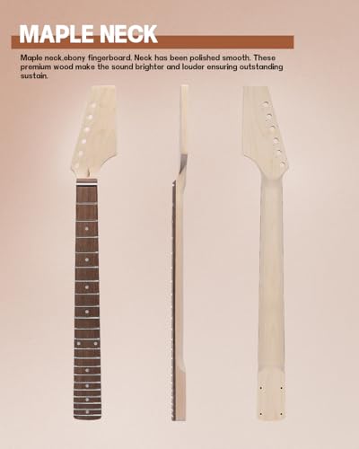 Leo Jaymz DIY Single Cut Electric Guitar Kit Mahogany Rosewood B148
