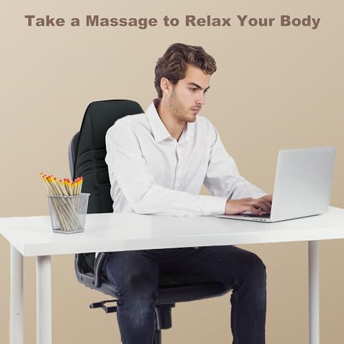 Vibration Back Massager with Heat for Chair E924824