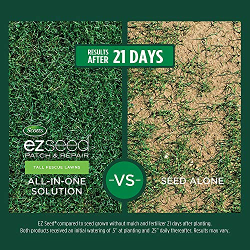 Scotts EZ Seed Patch & Repair Tall Fescue Lawns 10 lb. B1626