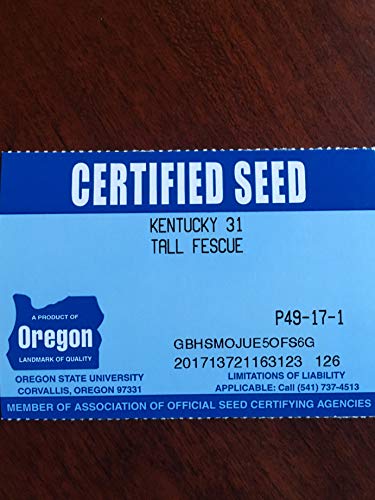 Kentucky 31 K31 Tall Fescue Grass Seed by Eretz, State Certified, 3lbs V558812