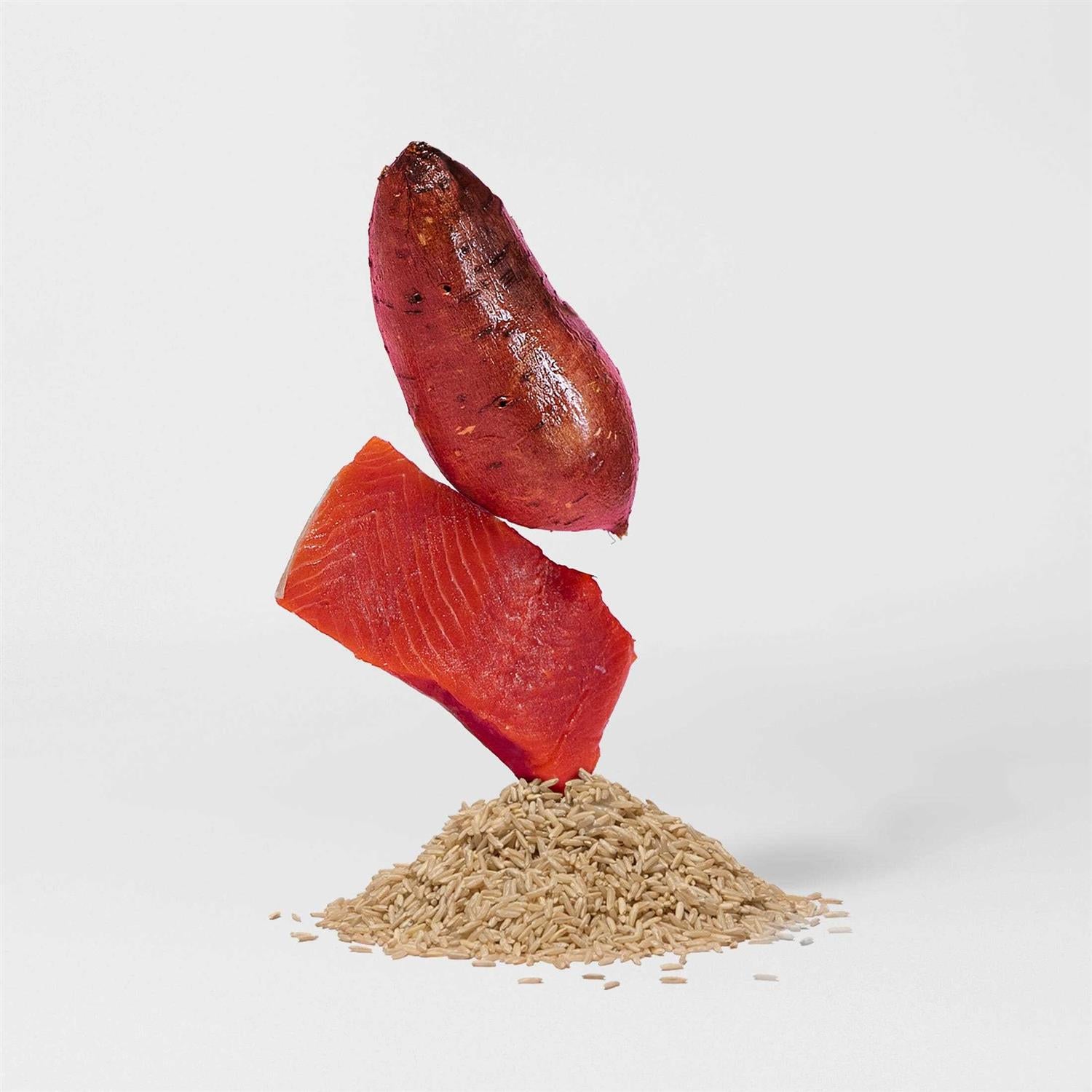 Jinx Salmon Brown Rice & Sweet Potato Dry Dog Food I652863