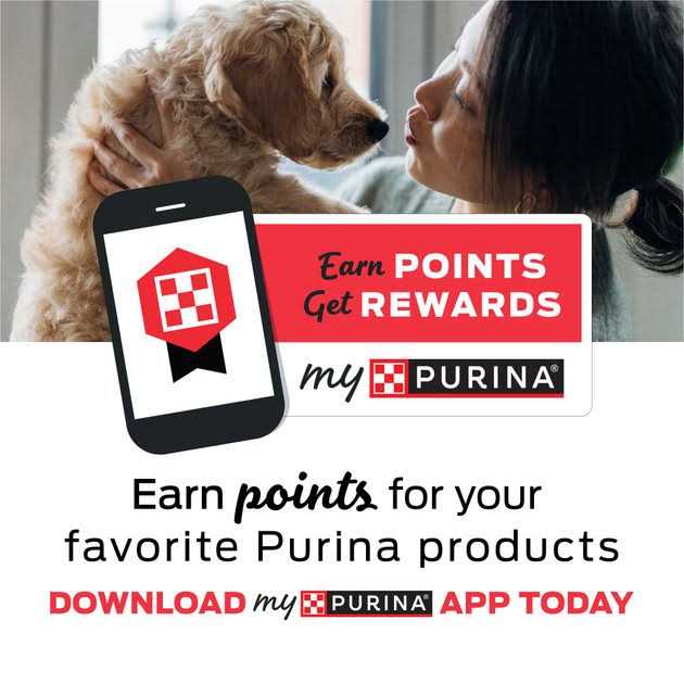 Purina Pro Plan Veterinary Diets NF Kidney Function Early Care Feline Formula Dry Cat Food A8581