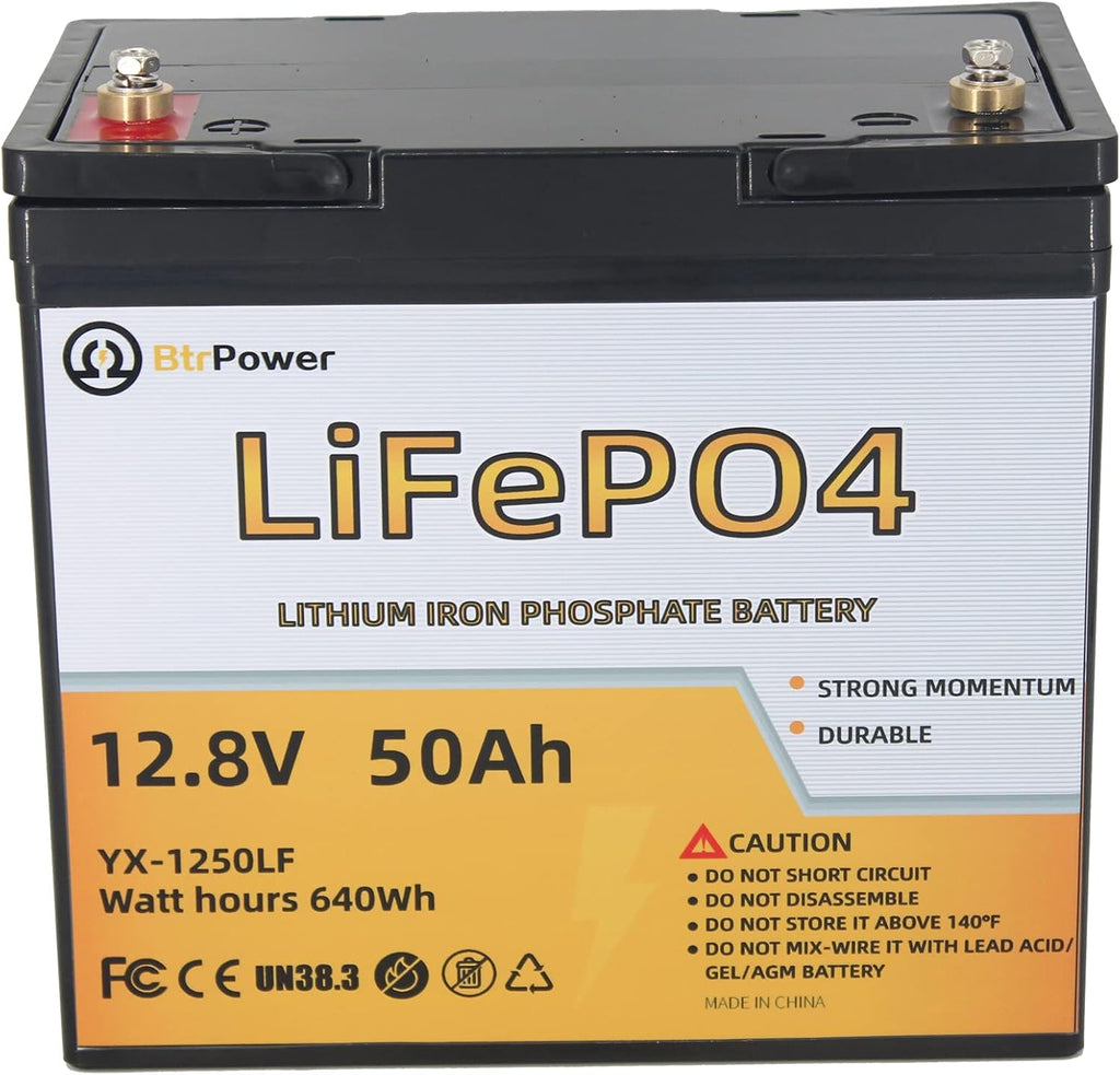 12V 100Ah LiFePO4 Lithium Battery with Built-in 100A BMS F19897