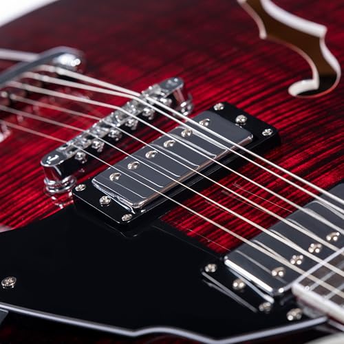 GROTE Jazz Electric Guitar Semi-Hollow Body with Gig Bag, Black Y60488
