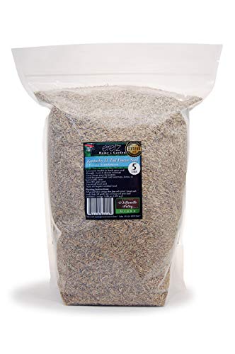 Kentucky 31 K31 Tall Fescue Grass Seed by Eretz, State Certified, 3lbs V558812