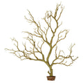cURRENT USA Manzanita Branch 22-inch Tall with Weighted Base
