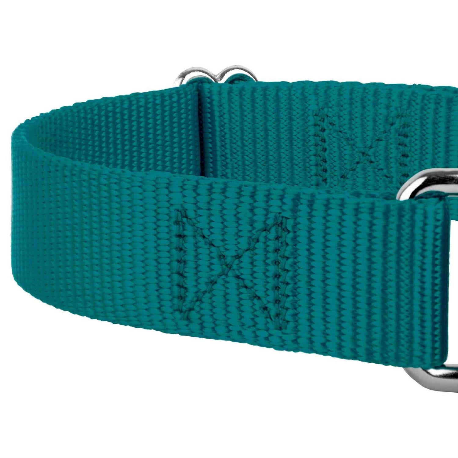 Country Brook Petz Martingale Nylon Dog Collar L4803