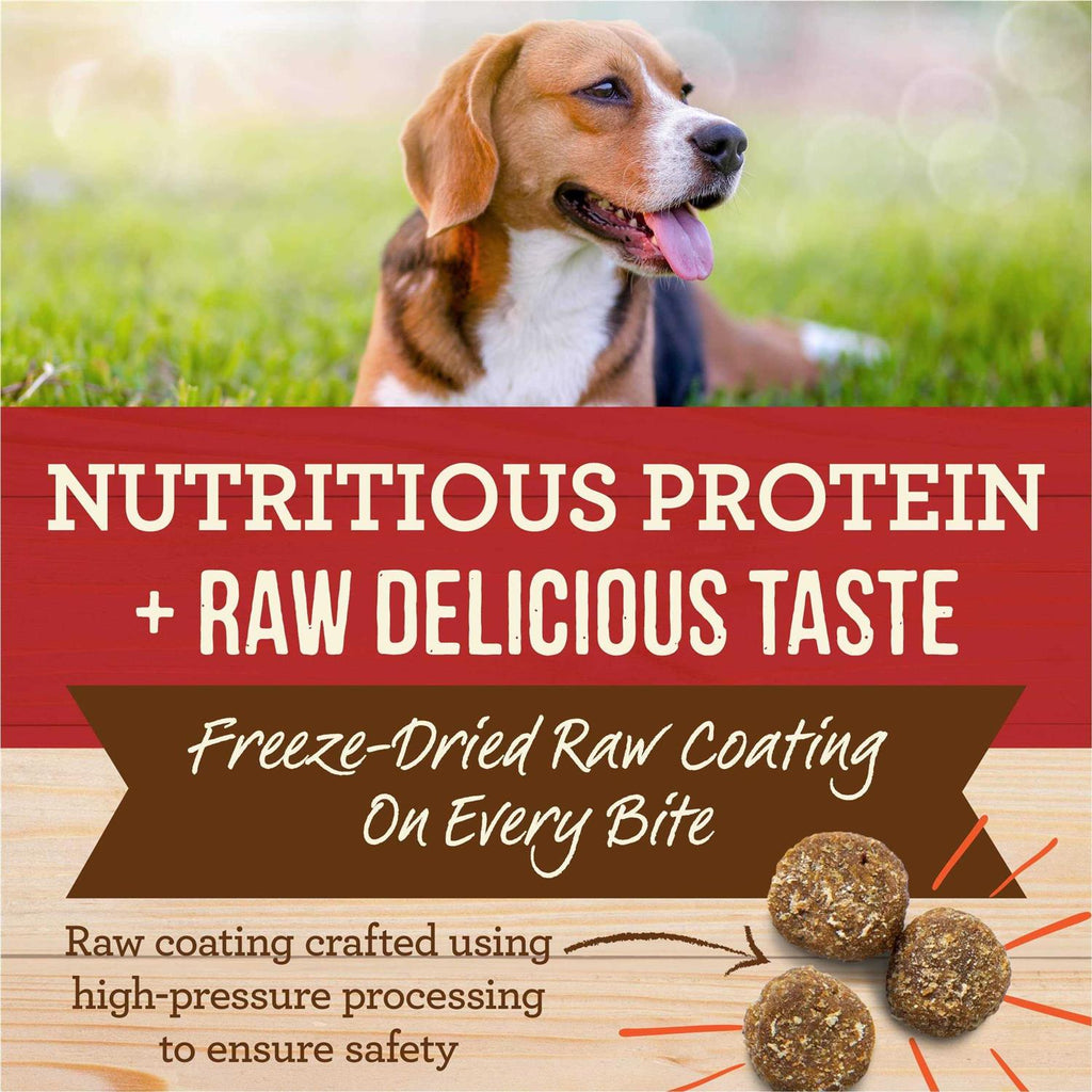 Merrick Healthy Grains Freeze Dried Raw Coated Kibble Dry Dog Food, Brown Rice Recipe S726