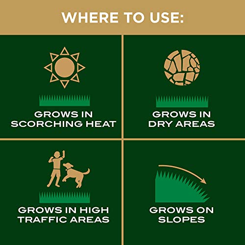 Scotts EZ Seed Patch & Repair Tall Fescue Lawns 10 lb. B1626
