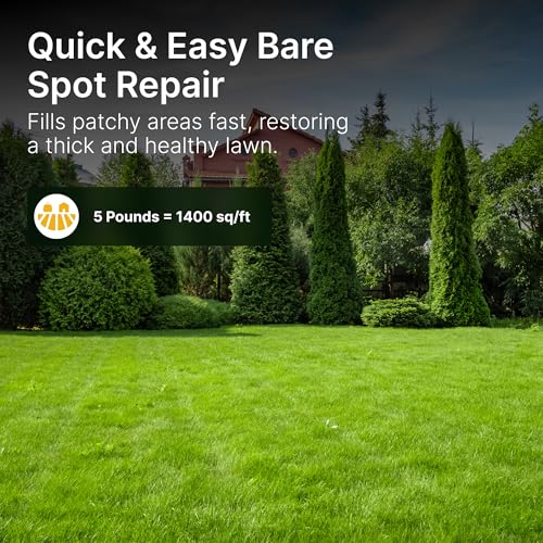Sun and Shade Tall Fescue Grass Seed Mix, Drought Resistant X46056