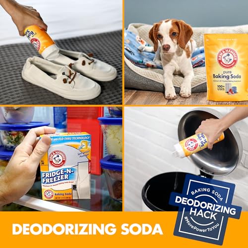 Arm & Hammer Baking Soda, 1 Pound (Pack of 12) W8601