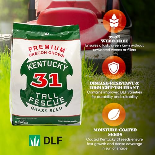 X-Seed Oregon Grown Kentucky 31 Tall Fescue Grass Seed for Sun and Shade, 5 lb Bag F733
