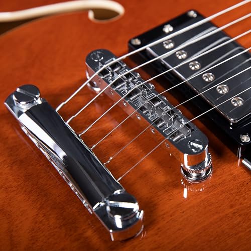 Redid Semi-Hollow Body Electric Guitar RD-100 with F-Hole, Maple Neck, Humbucker Pickups G2932