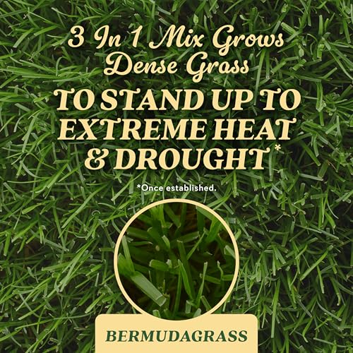 Scotts Tall Fescue Blend Grass Seed with Fertilizer and Soil Improver, 8 lbs A926