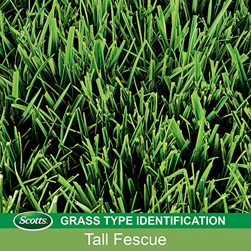 Scotts EZ Seed Patch & Repair Tall Fescue Lawns 10 lb. B1626