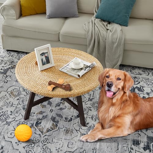 RANDEFURN Round Seagrass Coffee Table with Pine Wood X Base, 32 x 17 Inches E987219