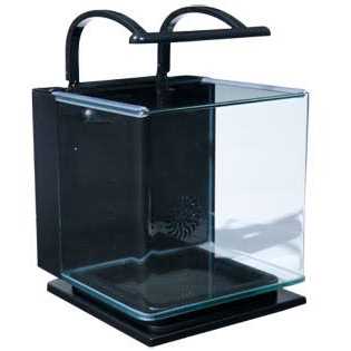 Marineland Contour 5 Gallon Glass Aquarium Kit E87750