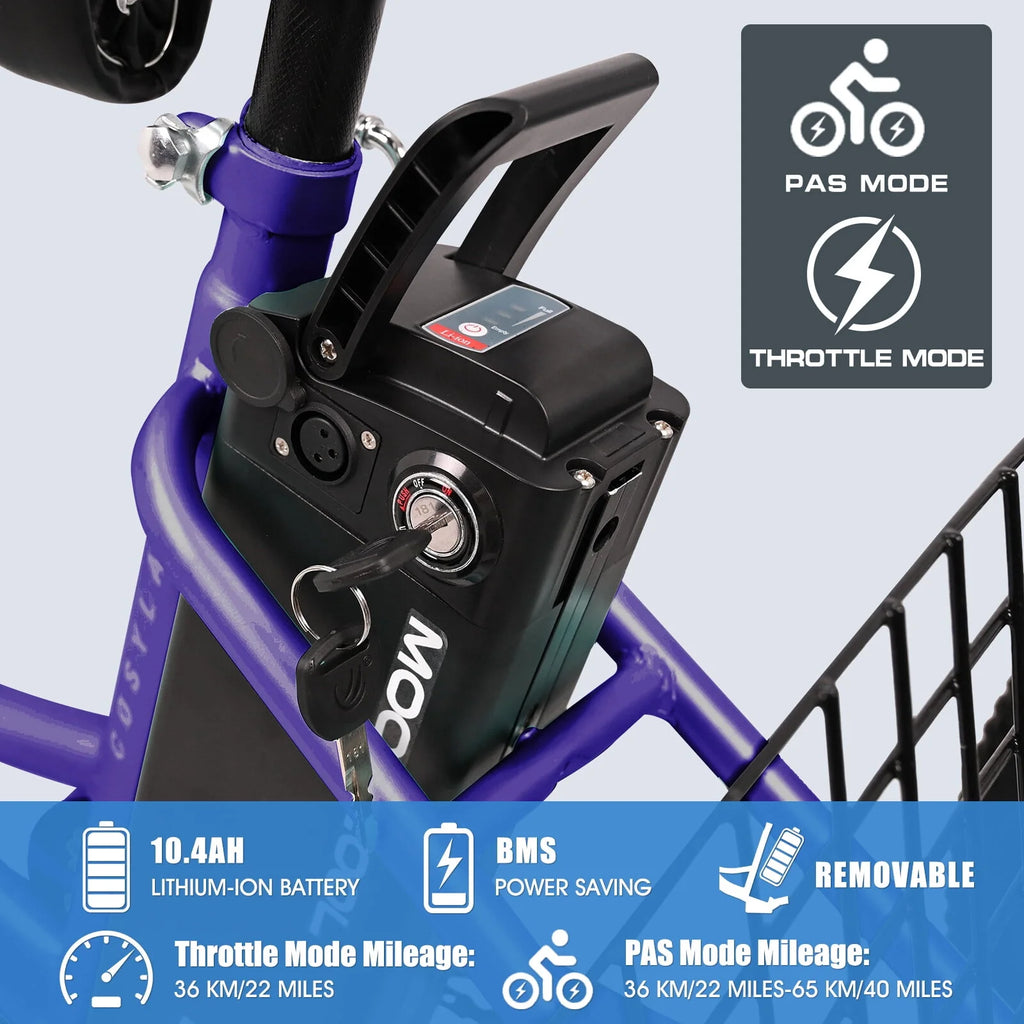 Lilypelle Adult Electric Tricycle 3-Wheel Bike for Seniors E1378