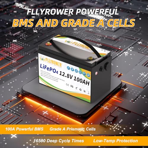 FLLYROWER 12V 100Ah LiFePO4 Battery with BMS for Marine RV Solar I833