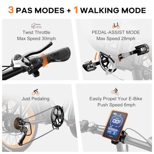 Folding Electric Bike 1000W 48V 20AH Removable Battery 20" Fat Tire for Adults C847123