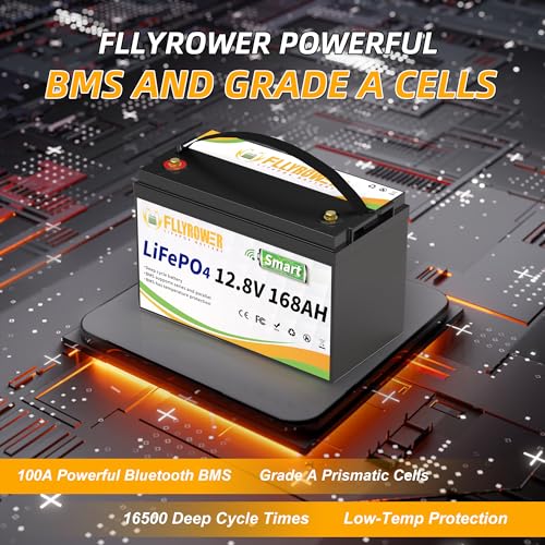 FLLYROWER 12V 100Ah LiFePO4 Battery with BMS for Marine RV Solar I833