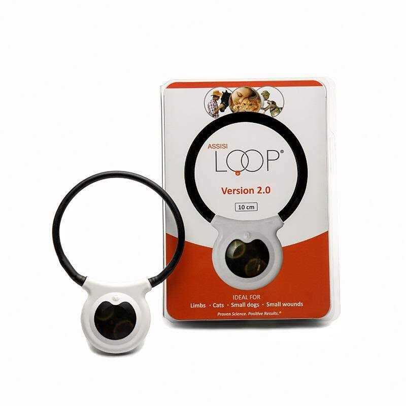 Assisi Loop 2.0 Manual E9696