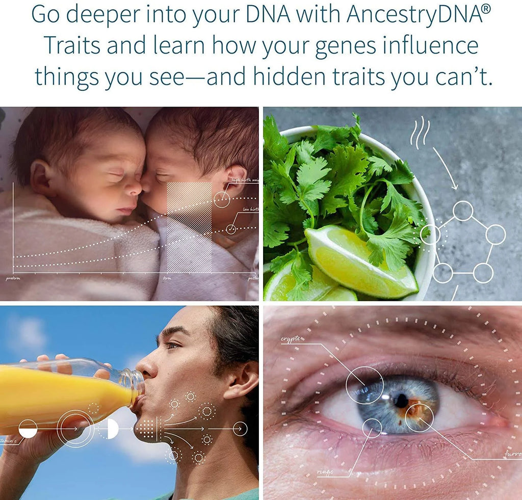 AncestryDNA: Genetic Ethnicity + Traits Test W336583