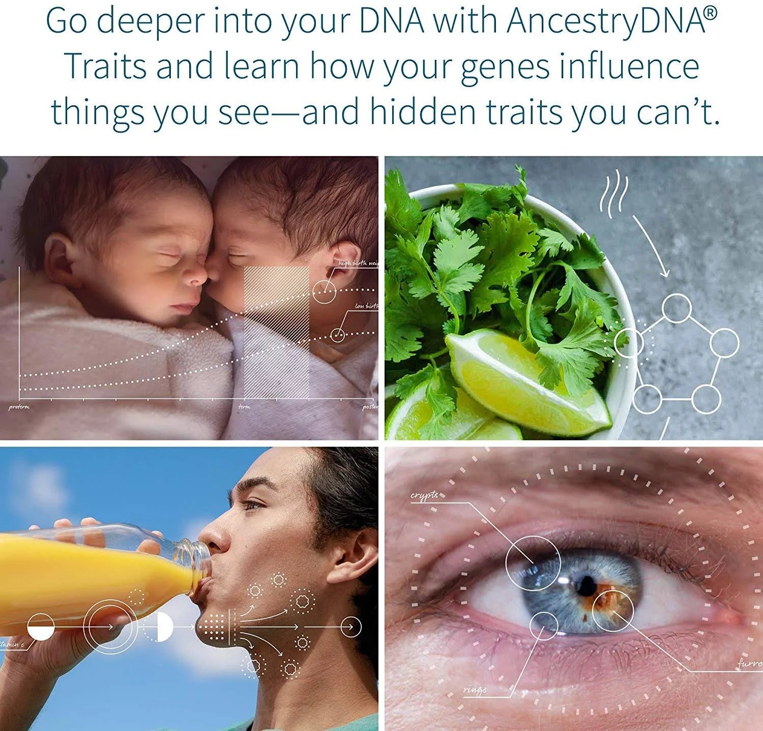 AncestryDNA: Genetic Ethnicity + Traits Test W336583
