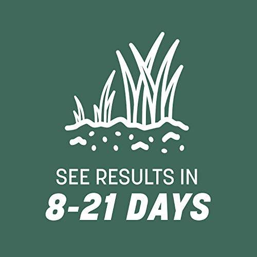 Pennington Kentucky 31 Tall Fescue Penkoted Grass Seed 40 lbs V4063