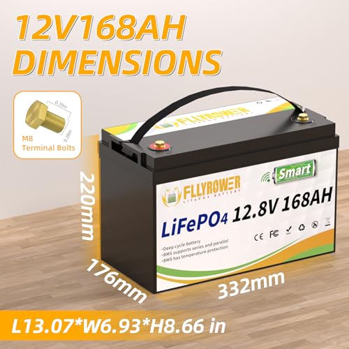 FLLYROWER 12V 100Ah LiFePO4 Battery with BMS for Marine RV Solar I833