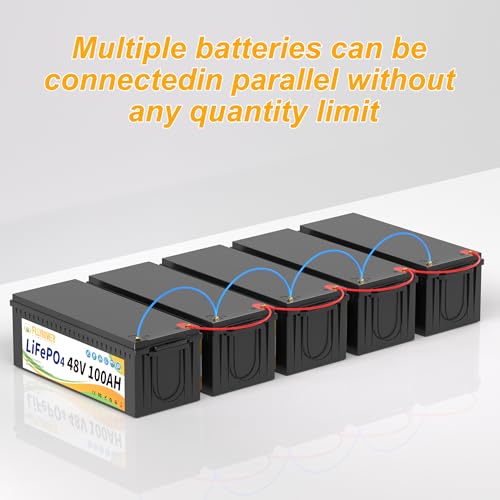FLLYROWER 12V 100Ah LiFePO4 Battery with BMS for Marine RV Solar I833