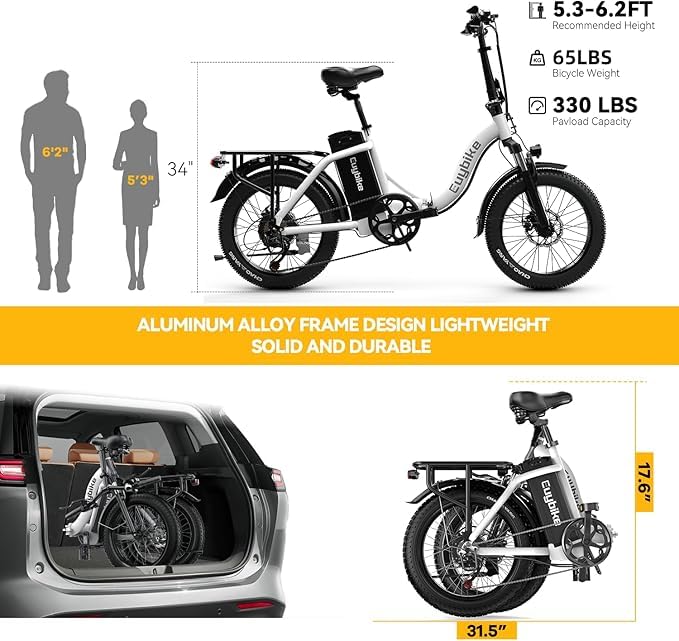 Folding Electric Bike 1000W 48V 20AH Removable Battery 20" Fat Tire for Adults C847123