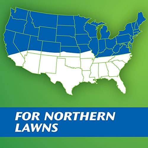 Scotts EZ Seed Patch & Repair Tall Fescue Lawns 10 lb. B1626