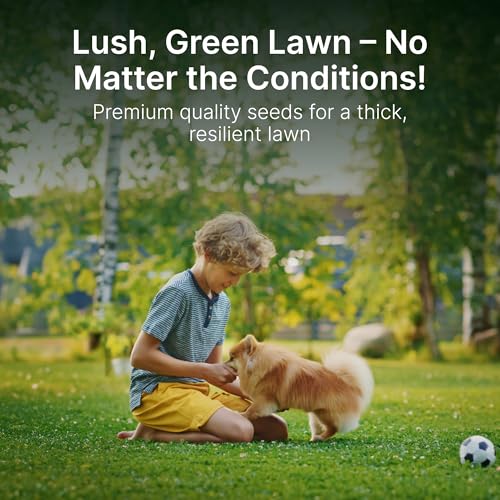 Sun and Shade Tall Fescue Grass Seed Mix, Drought Resistant X46056