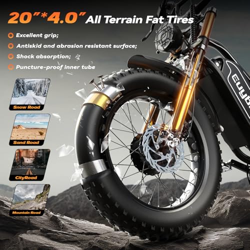 Electric Bike for Adults, 2000W Motor, 48V 25AH Battery, 20" Fat Tires S65549