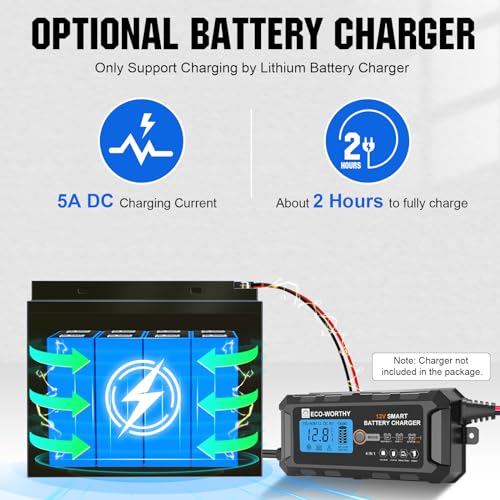 ECO-WORTHY 12V 10Ah LiFePO4 Deep Cycle Battery with Built-in BMS I227