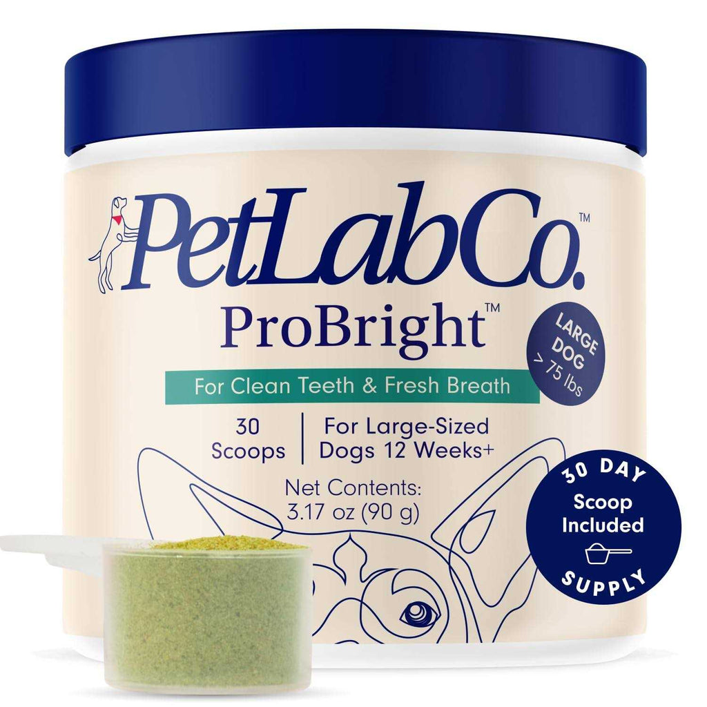 PetLab Co. ProBright Dog Dental Powder Dogs