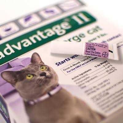 Advantage II Flea Treatment for Cats V4252