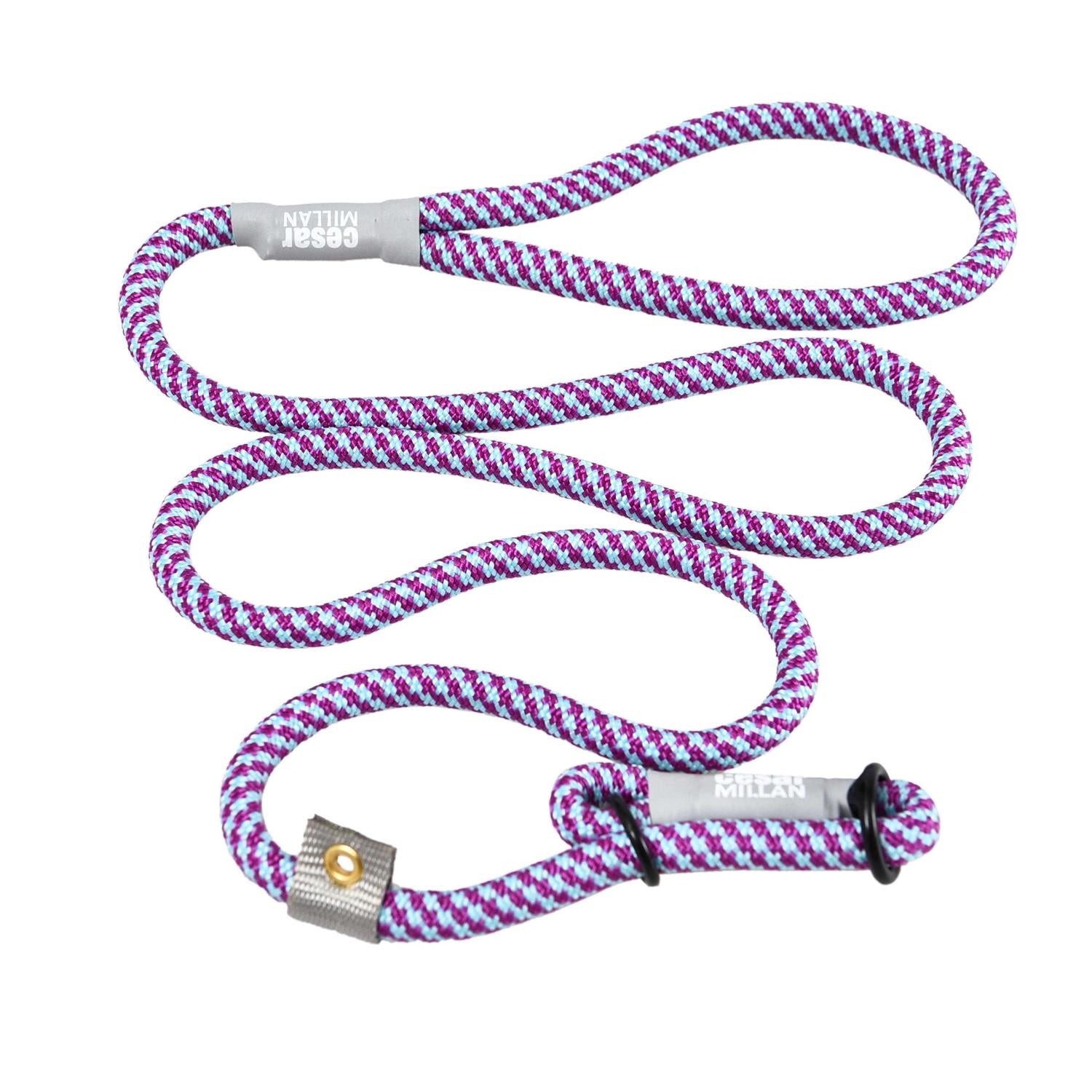 Cesar Millan 2-in-1 Slip Lead Dog Training Leash A889639
